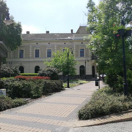 Deak Panzio Bed and Breakfast Nagykoros Εξωτερικό φωτογραφία